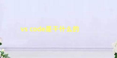 vs code是干什么的